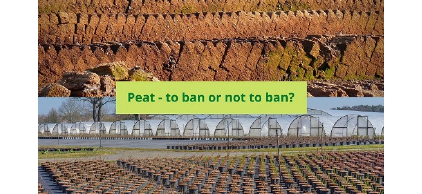 The UK proposal: No more peat for gardening