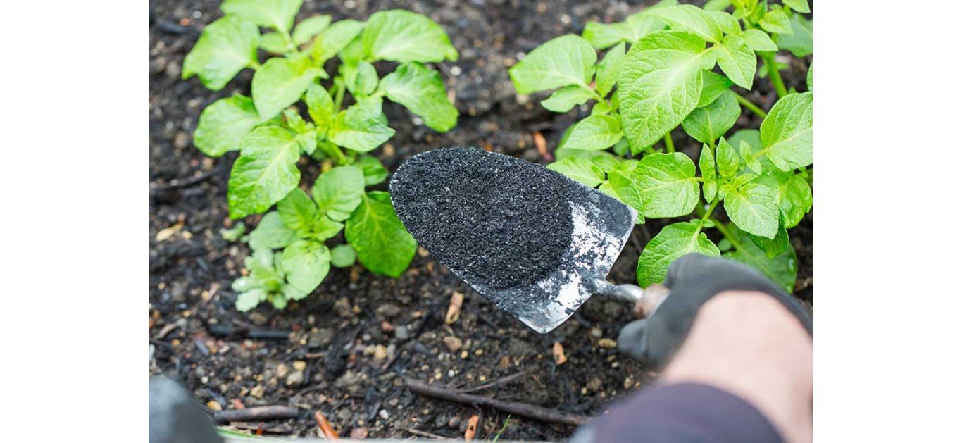 Peat Free Compost