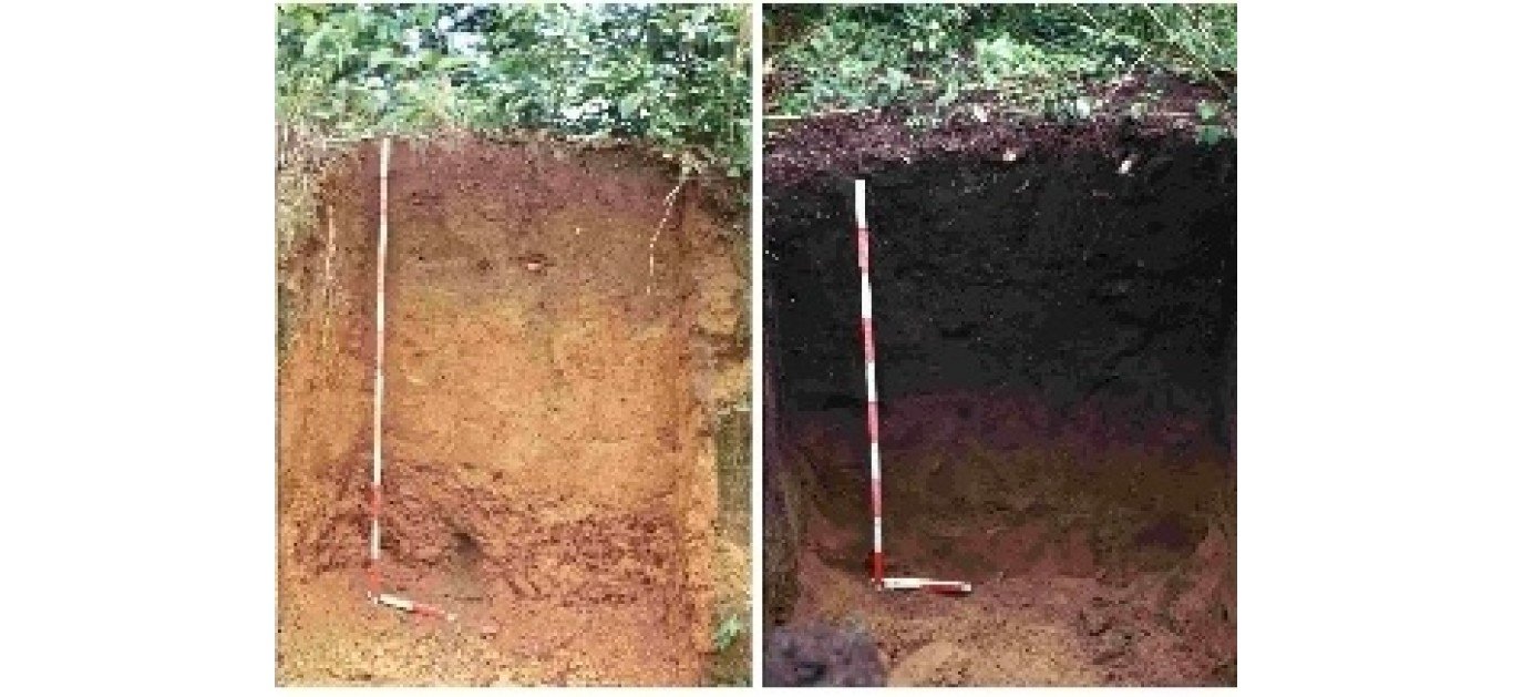 What is Amazonian Dark Earth (ADE)  also known as Terra Preta