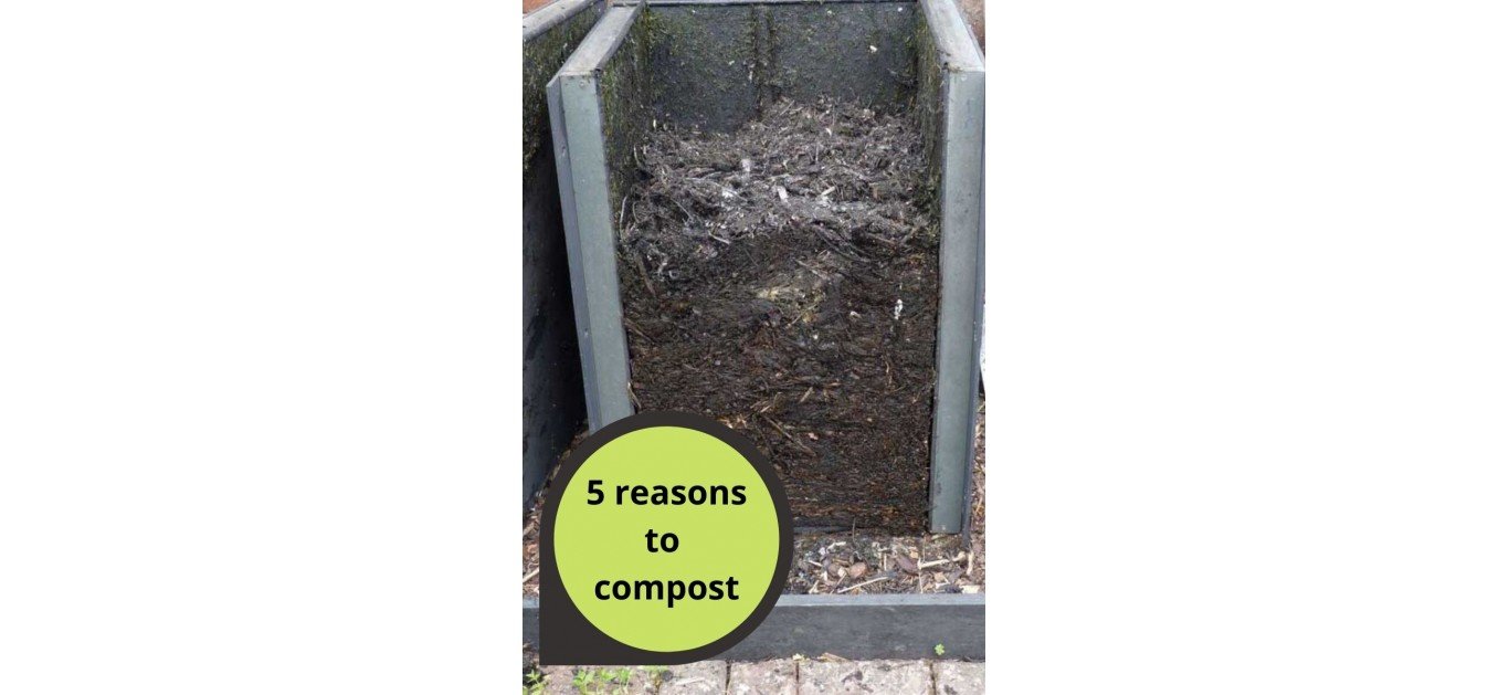 5 Reasons to compost