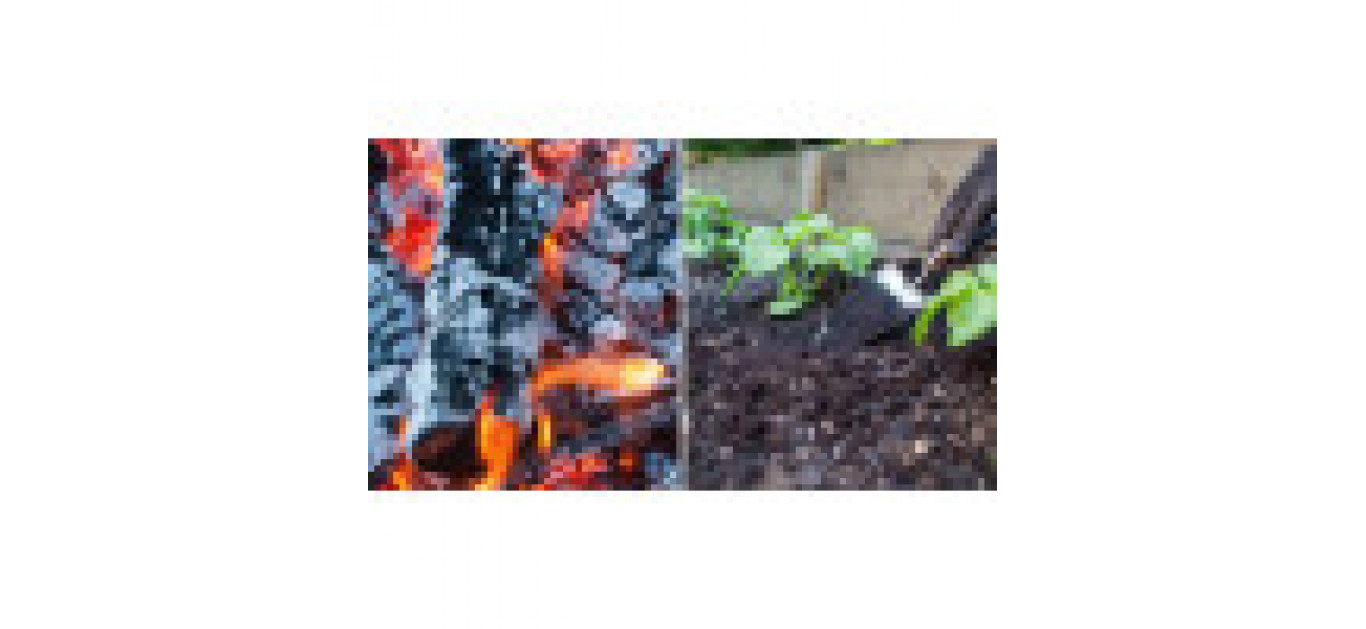 Biochar versus charcoal - is there a difference? The unbiased facts revealed by SoilFixer