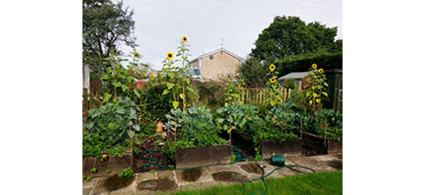 What is the best raised bed & container mix? What is the best raised bed & container mix?