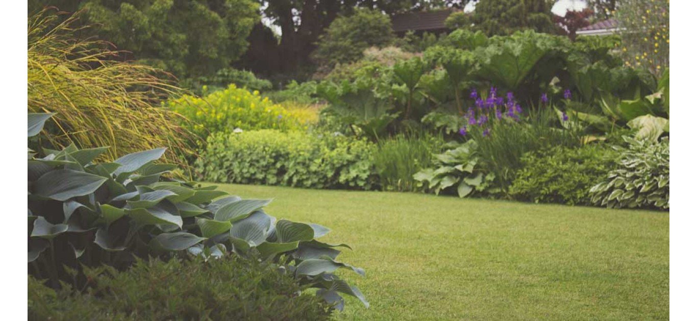 Spring Lawn Care