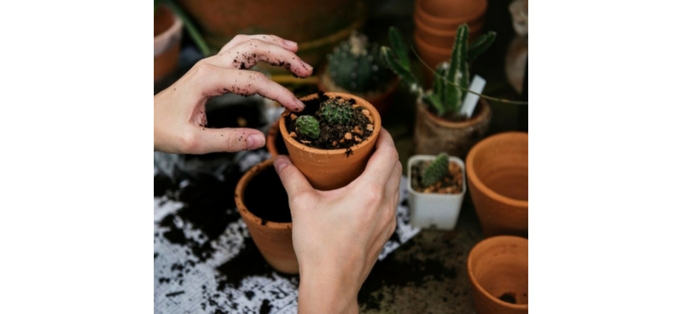 The BEST compost and how to make it