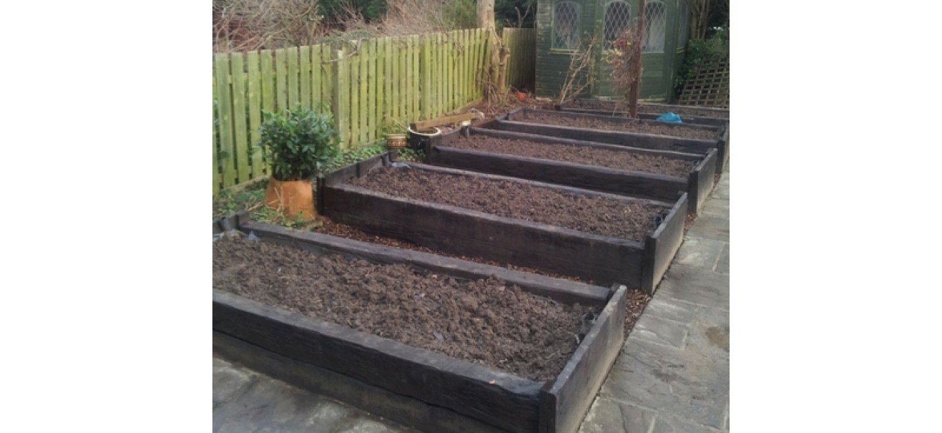 Biochar and SF60 Application Rates