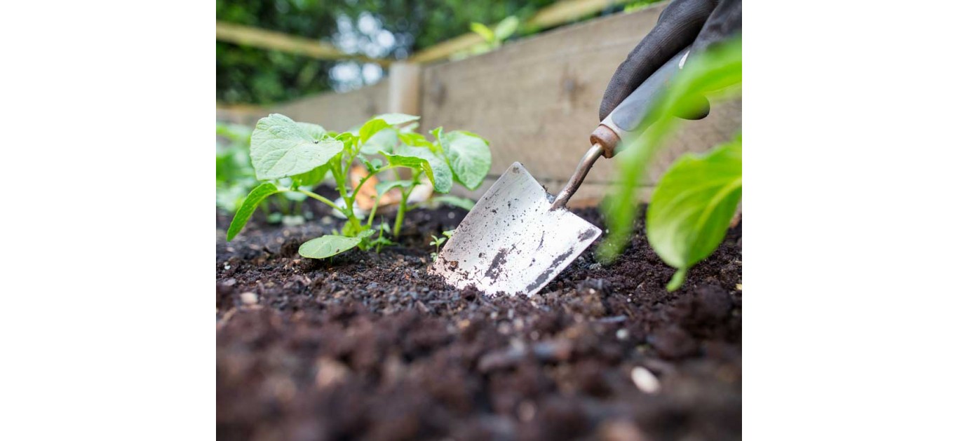 Making a fantastic raised bed / container compost mix