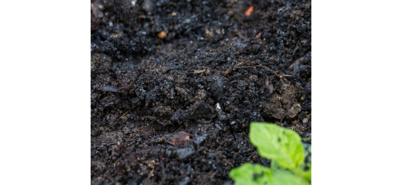 Improve soil health ahead of the growing season