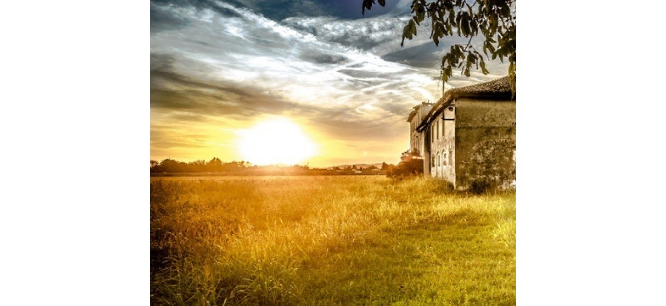 What happened at SoilFixer HQ over the long hot summer?