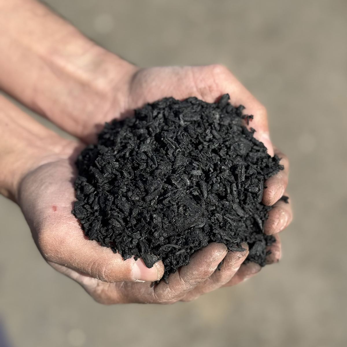 Biochar sample
