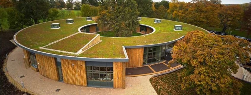 Can biochar be used to improve green roofs