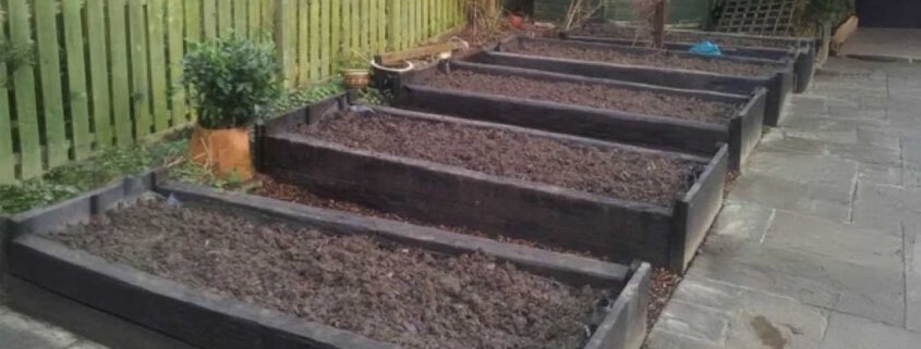 Biochar and SF60 Application Rates