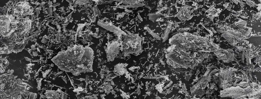 Biochar for water and gas filtration