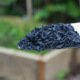 How to Activate and Inoculate Biochar