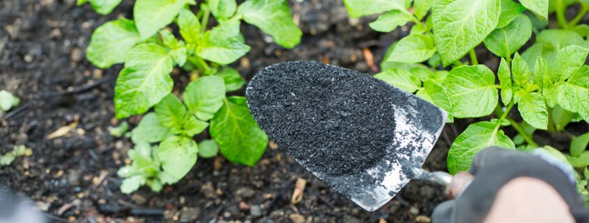 Improve soil health ahead of the growing season