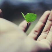 Is Biochar Sustainable