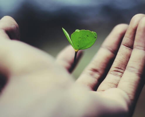 Is Biochar Sustainable