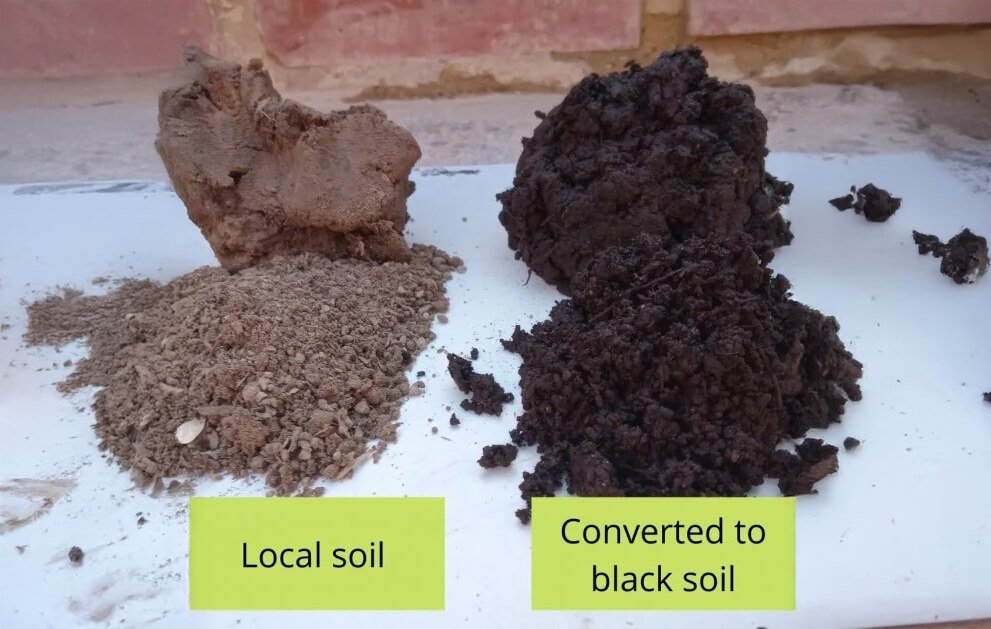 Local soil and converted to black soil