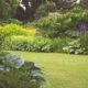 Spring Lawn Care