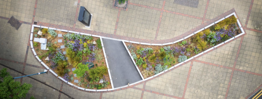 Aerial view of an urban SuDS rain garden surrounded by paved public space